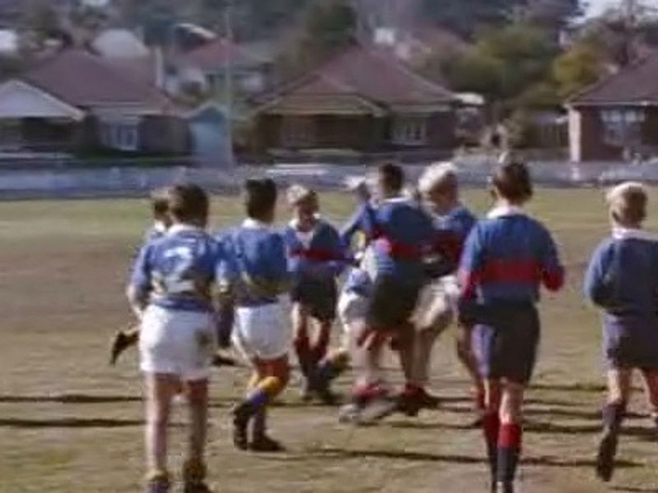 Skippy, le kangourou — Les Waratahs