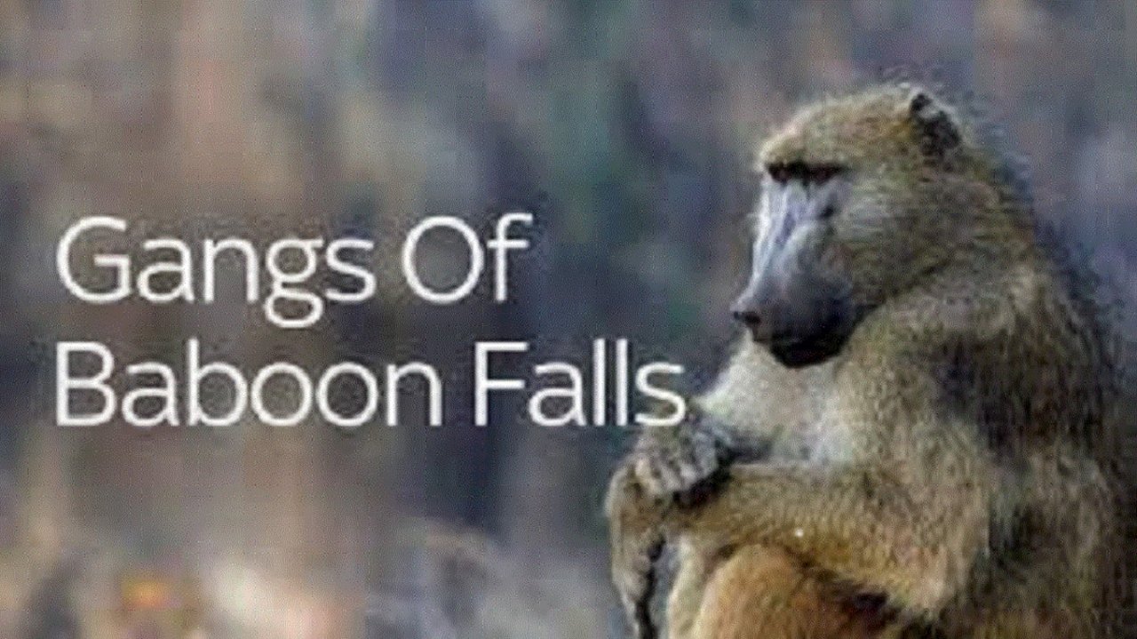 Gangs of Baboon falls