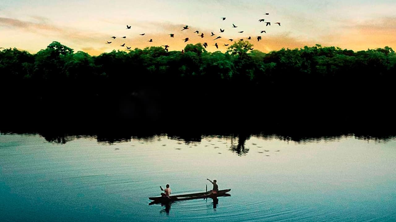 Eternal Amazonia Backdrop Image