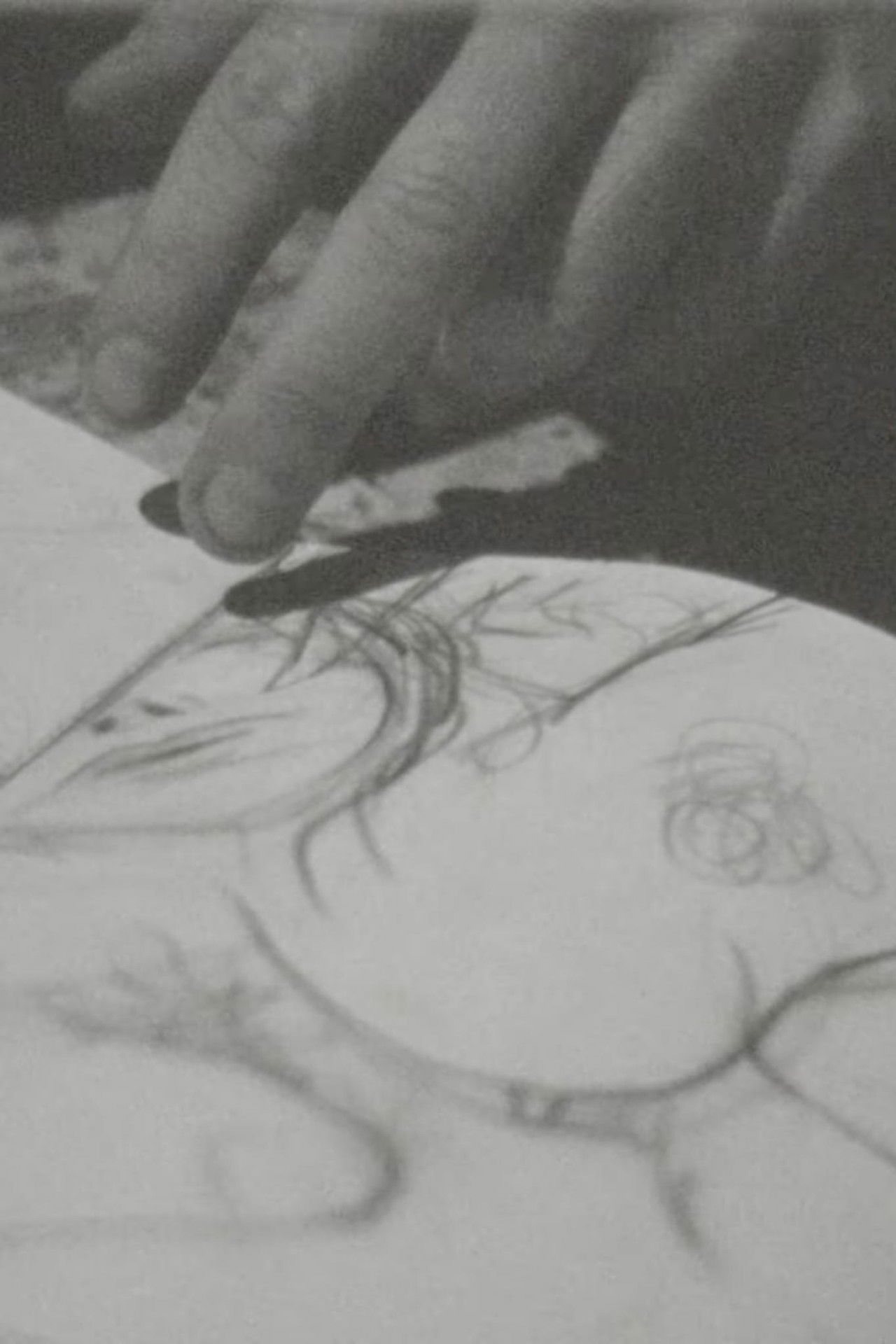 Brett Whiteley Backdrop