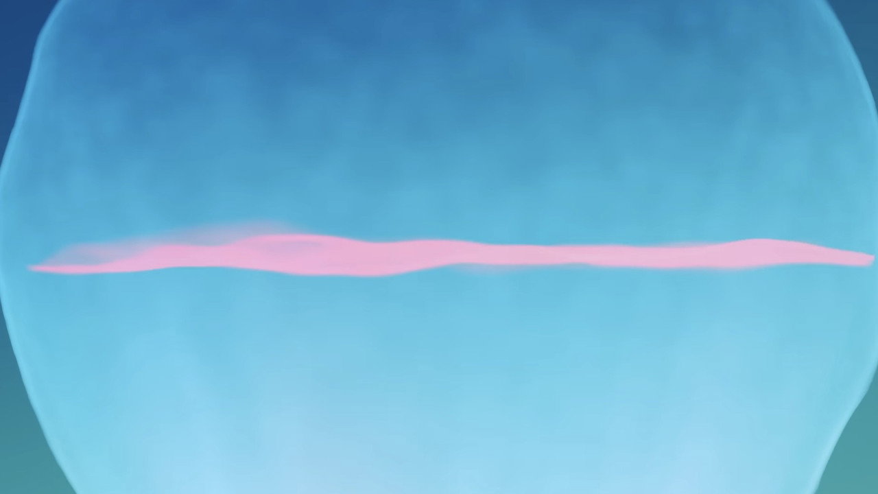 Fondo