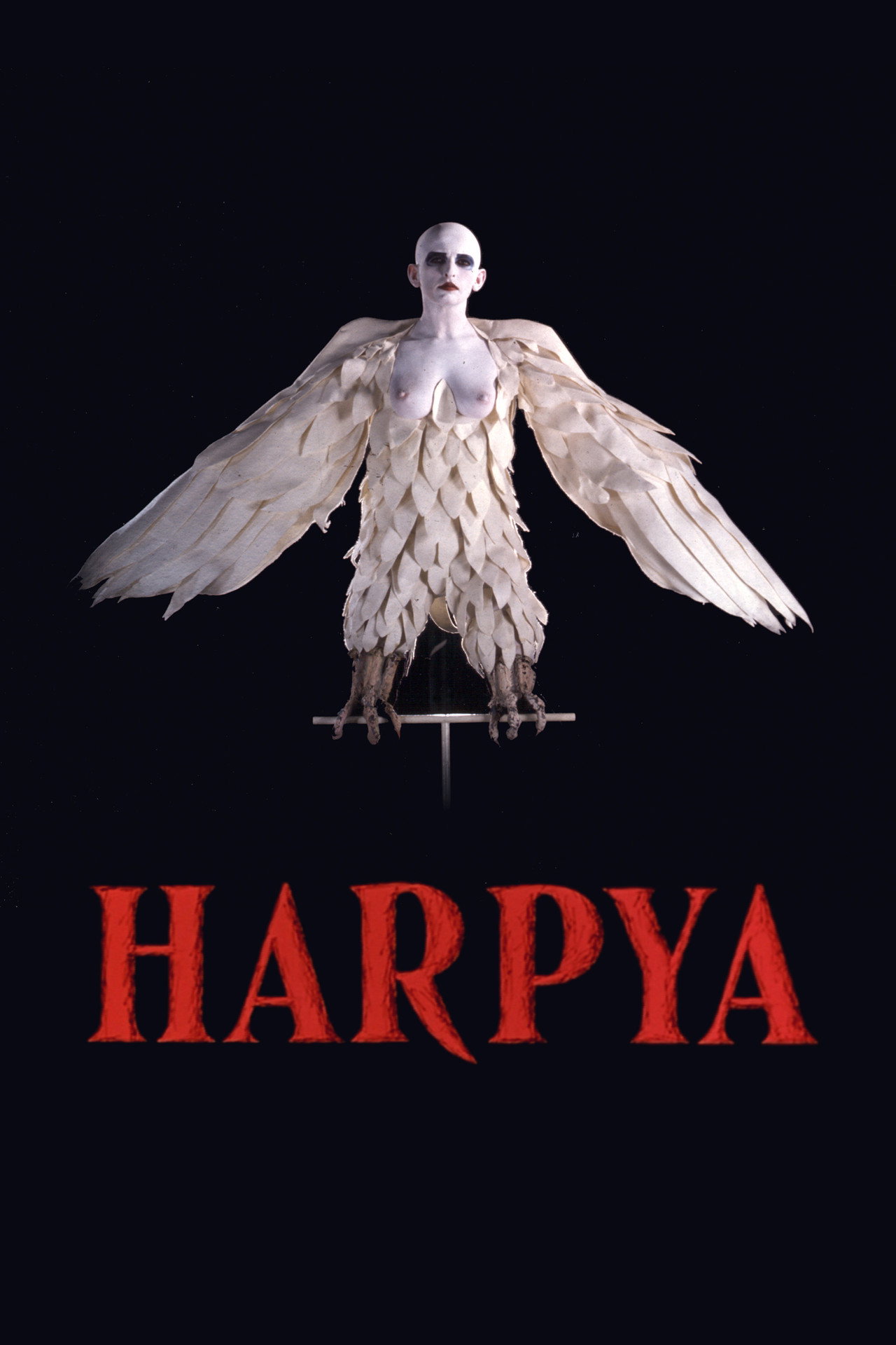 Harpy