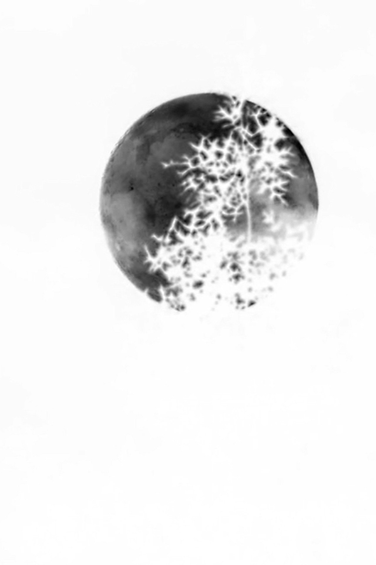 Negative Capability filmaffisch