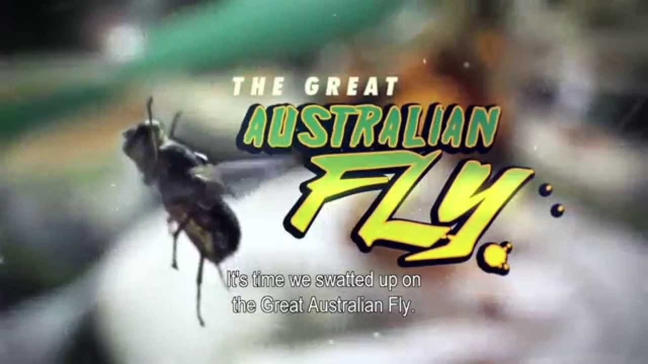 The Great Australian Fly background
