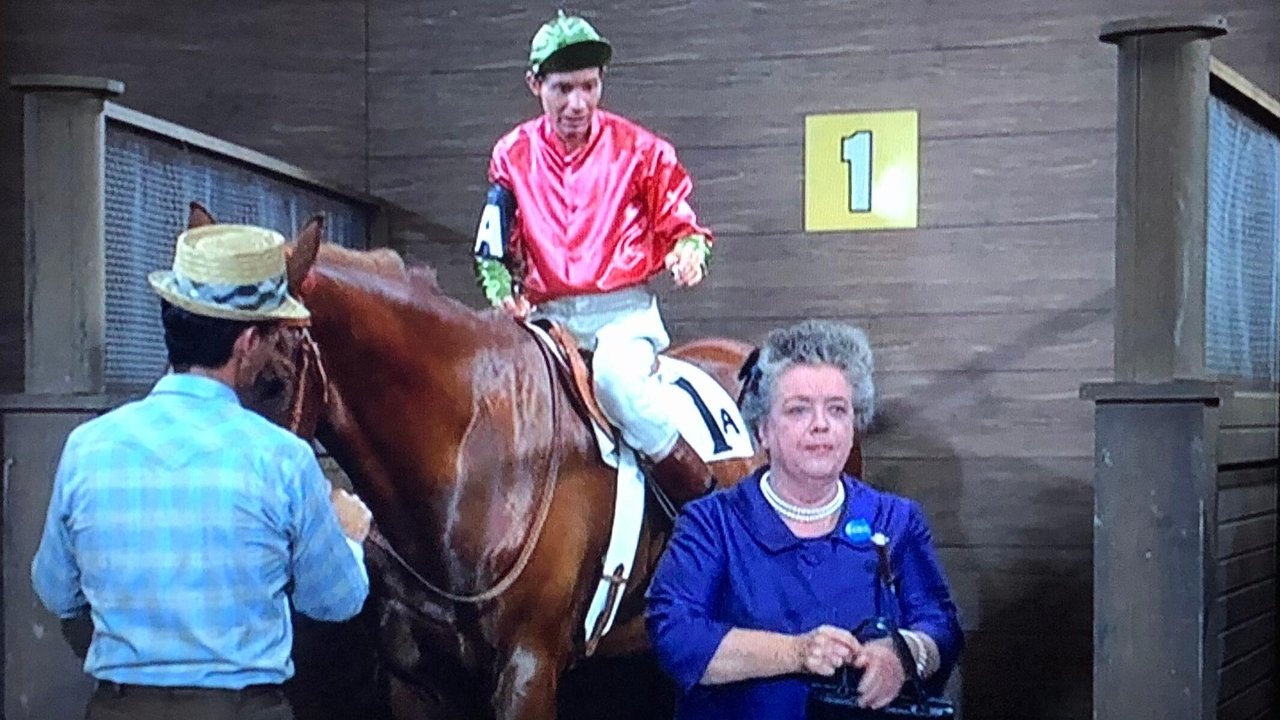 Mayberry R.F.D. - Season 1 Episode 3 : The Race Horse