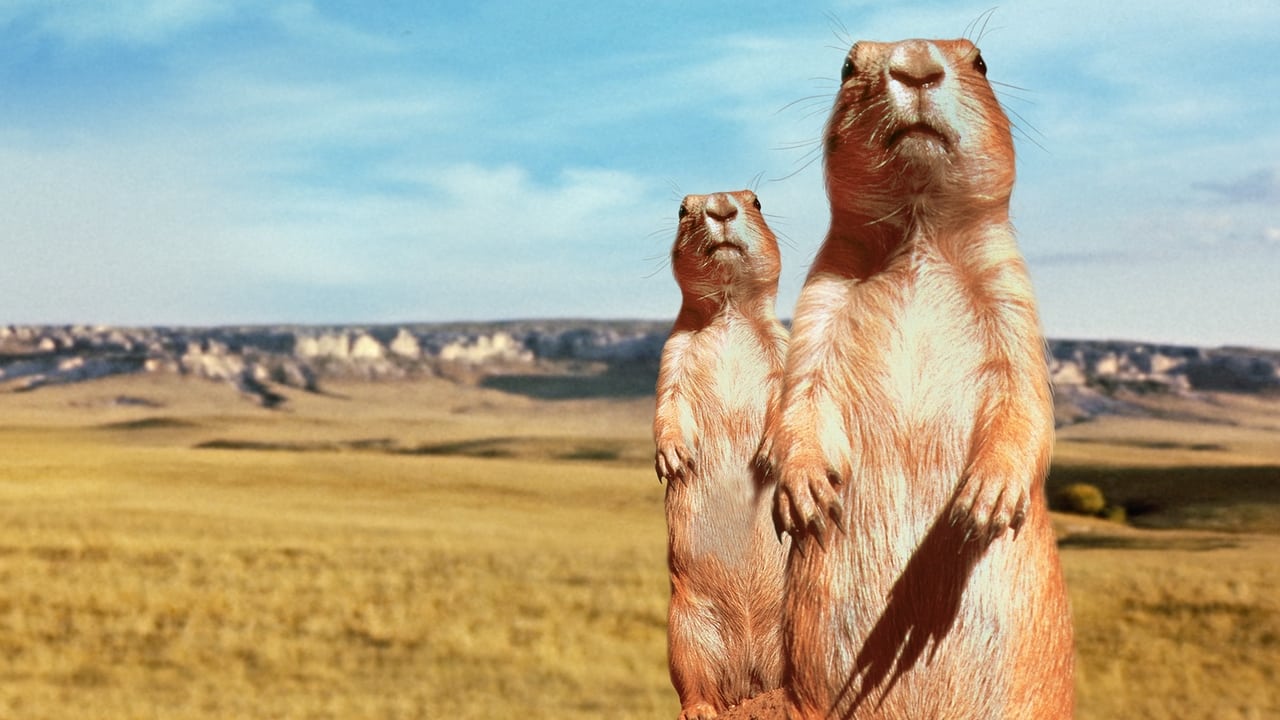 The Vanishing Prairie Backdrop Image