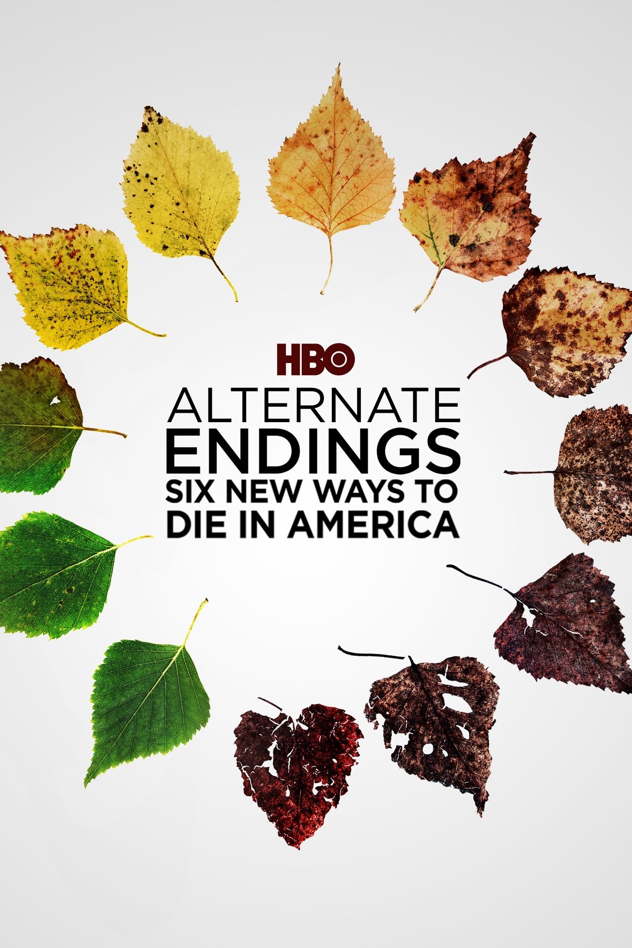 Finais Alternativos – Seis Novas Maneiras de Morrer nos Estados Unidos