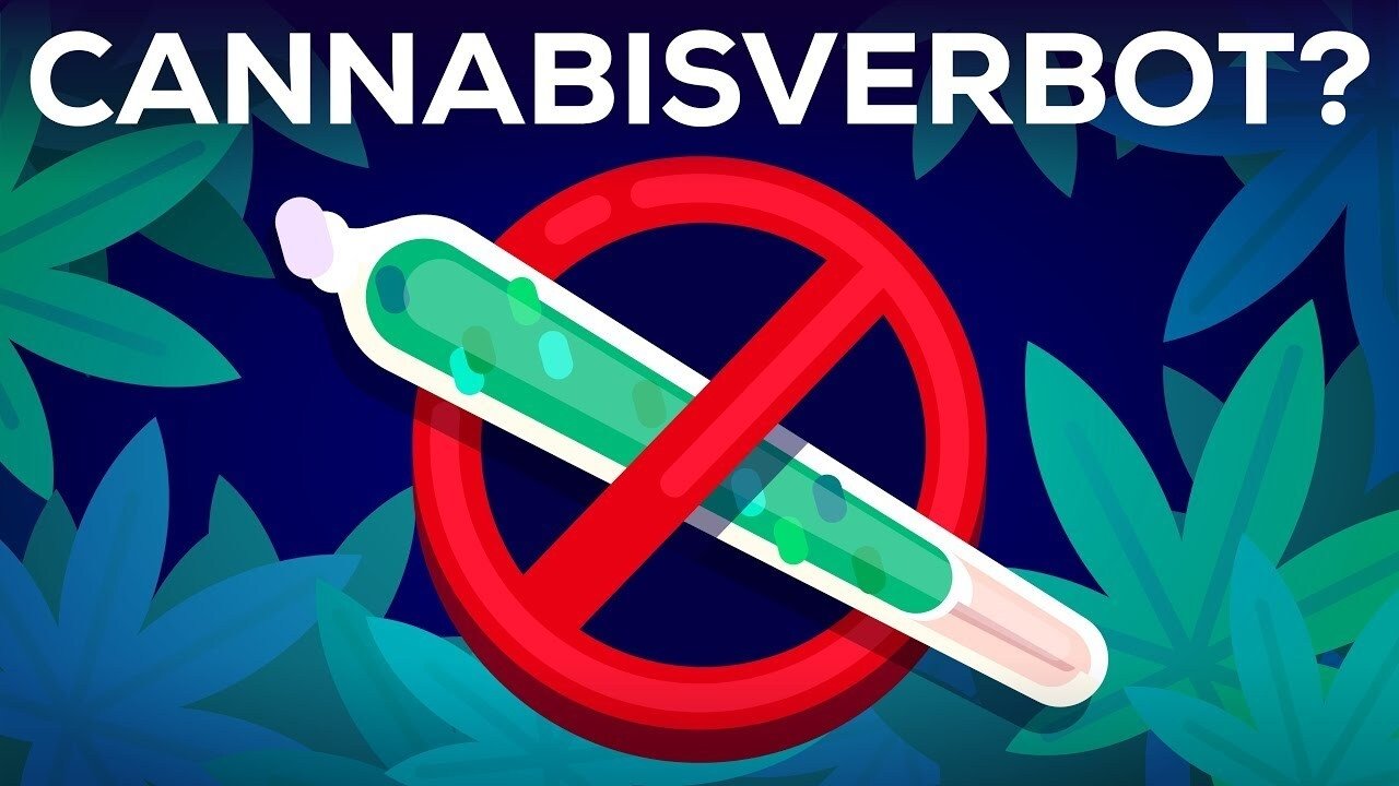 Kurzgesagt - In a Nutshell - Season 6 Episode 8 : 3 Arguments Why Marijuana Should Stay Illegal Reviewed