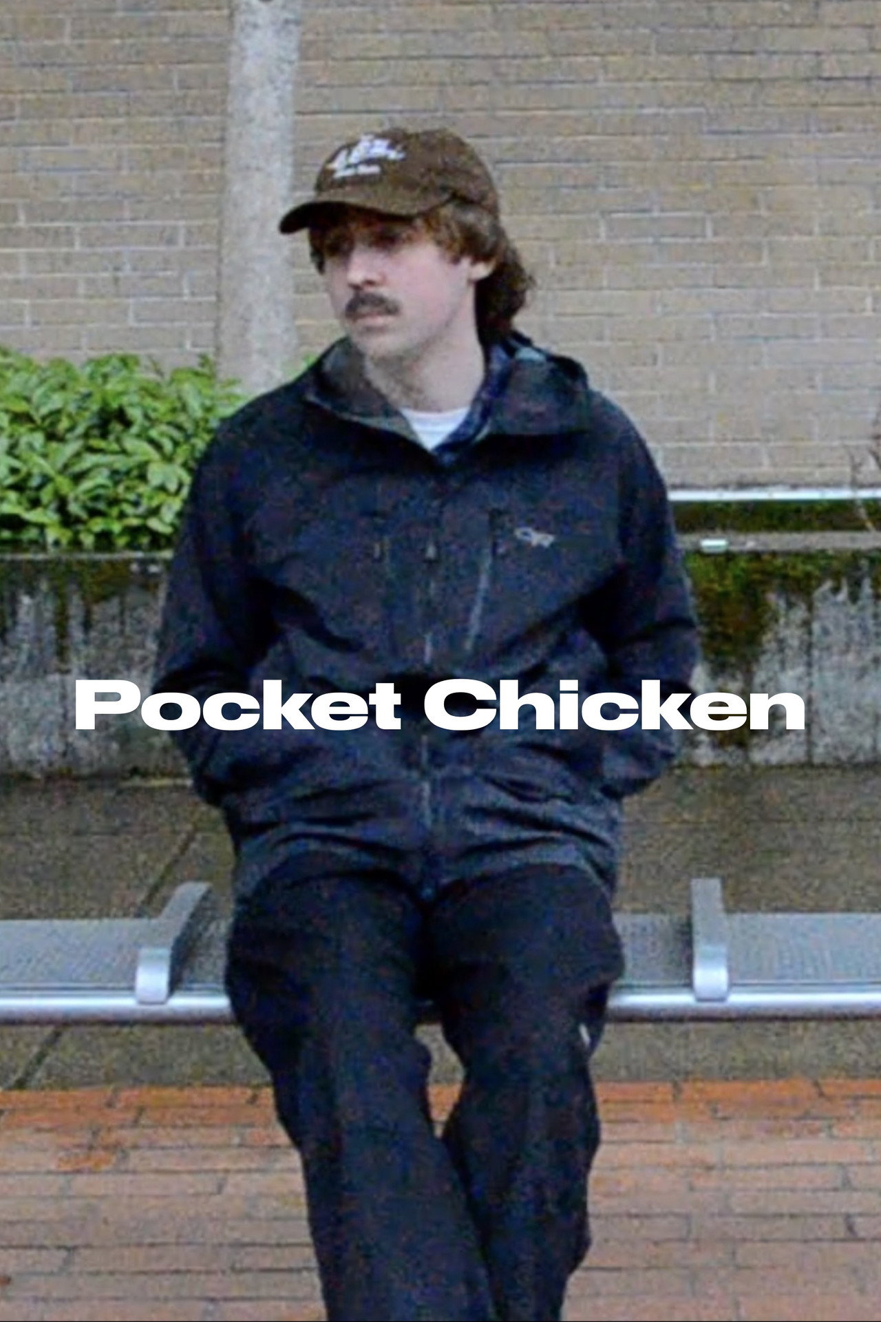 Pocket Chicken filmaffisch