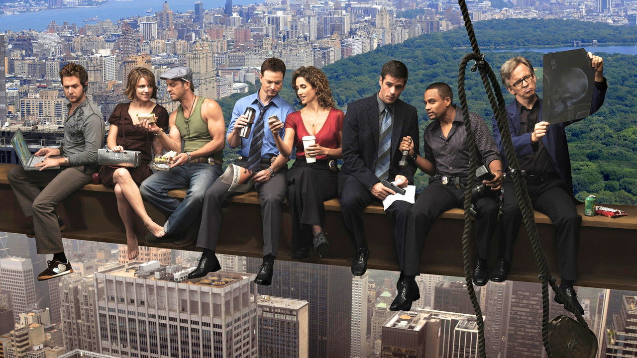 CSI: NY photo 1