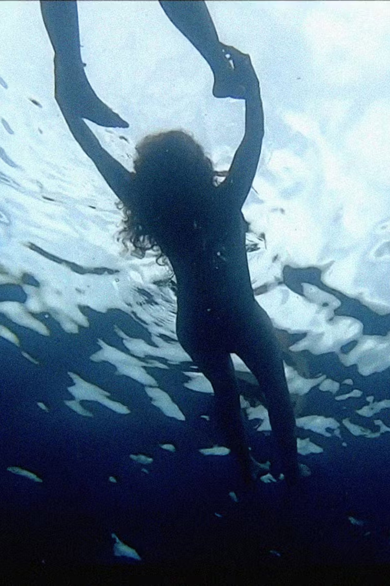 Sea Lovers filmaffisch