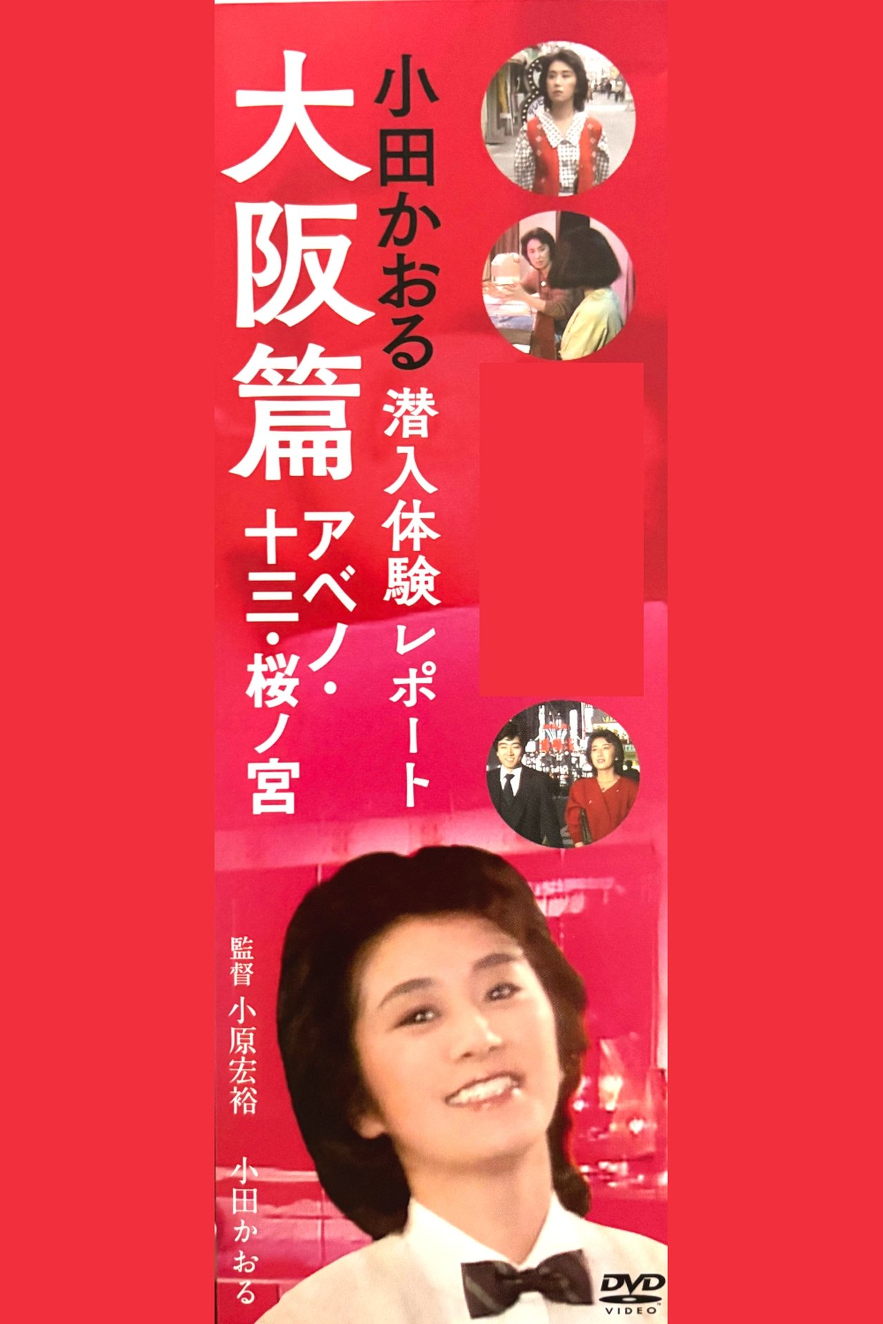 مشاهدة فيلم Kaoru Oda Infiltration Experience Report Osaka Edition Abeno: 13 Sakuranomiya مترجم بدون اعلانات - بوستر