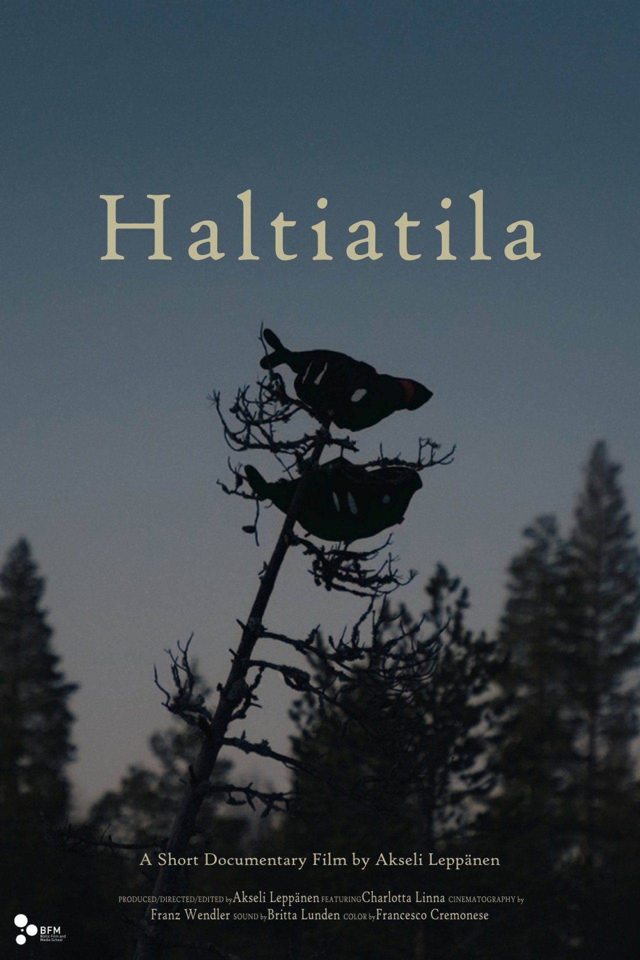Haltiatila filmaffisch
