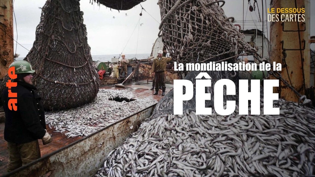 Mapping the World - Season 33 Episode 12 : Fish: The globalized fishery