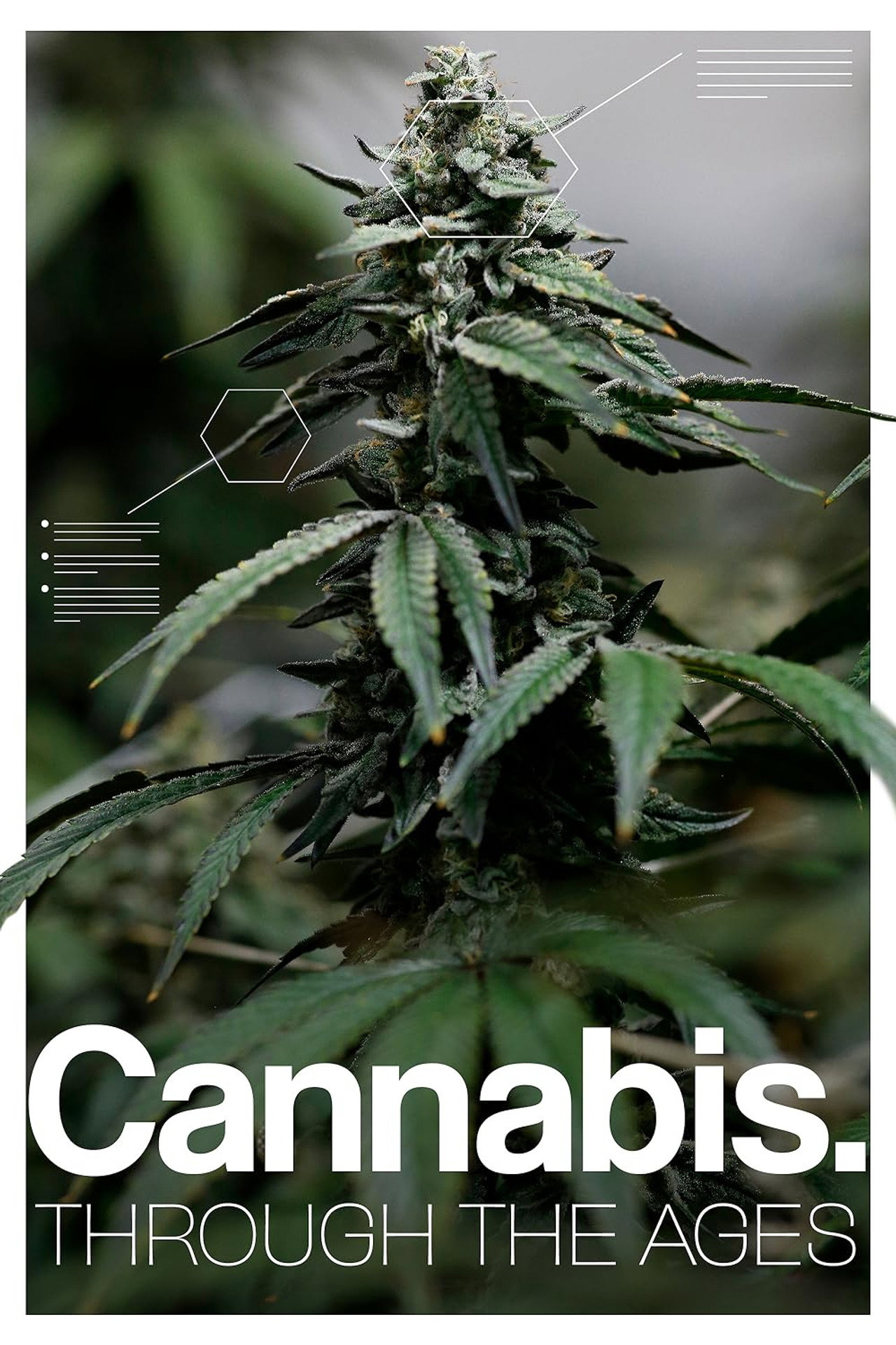 Cannabis: Through the Ages