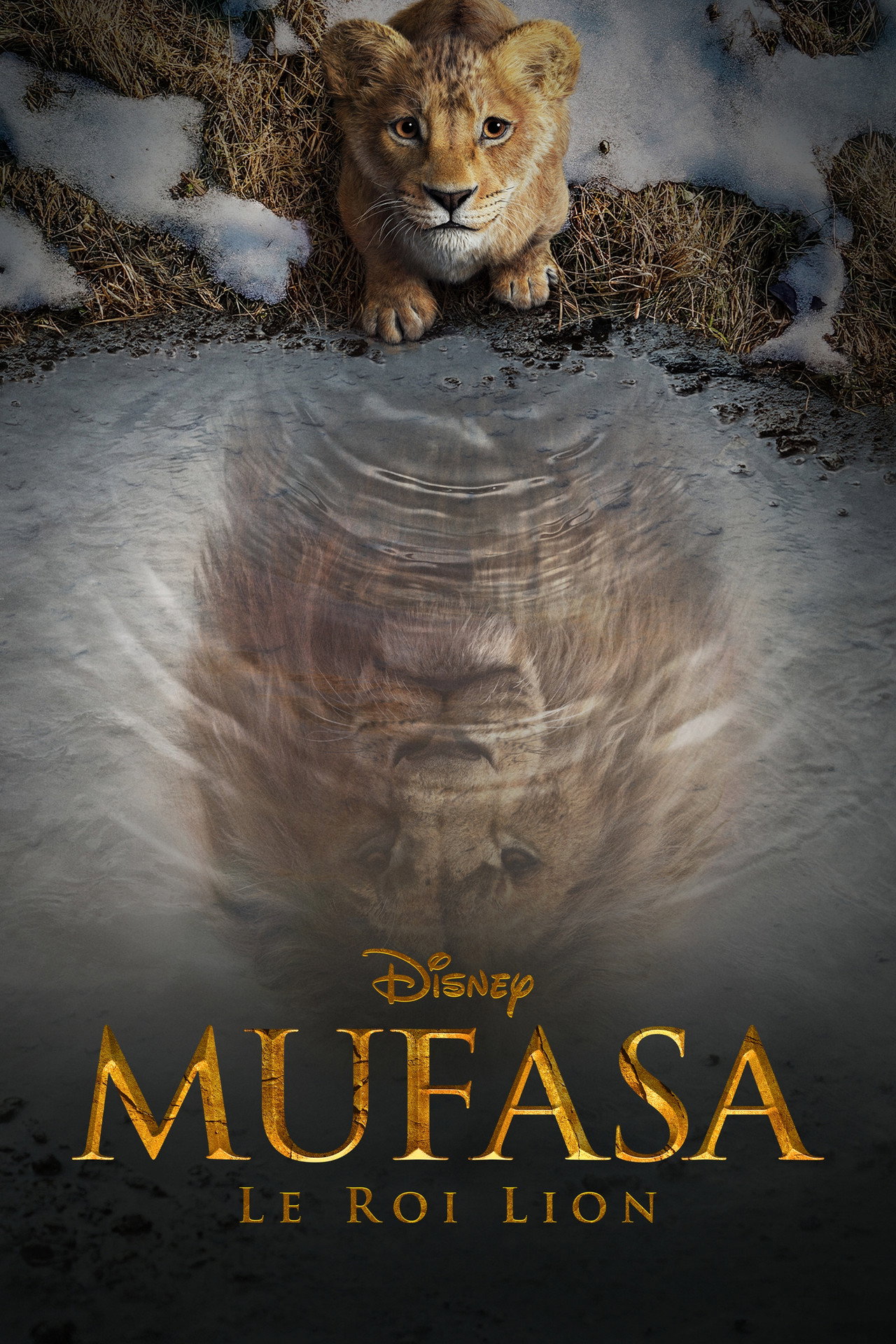Mufasa: The Lion King