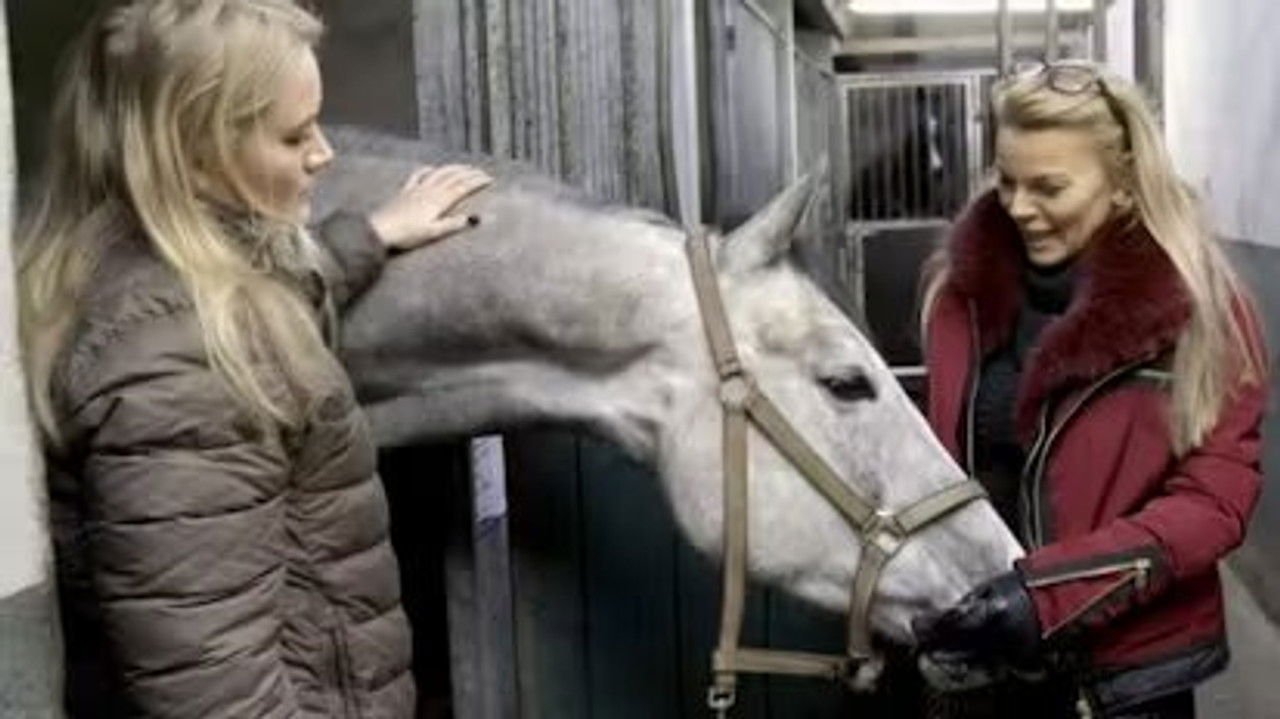 Diamantfamilien — Épisode 3