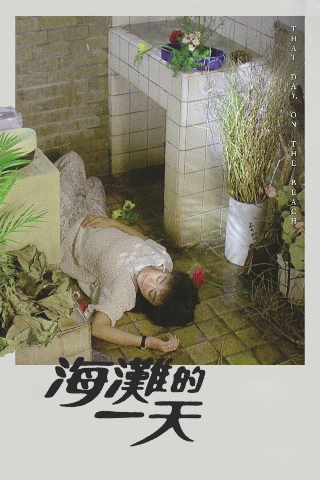 posters 5