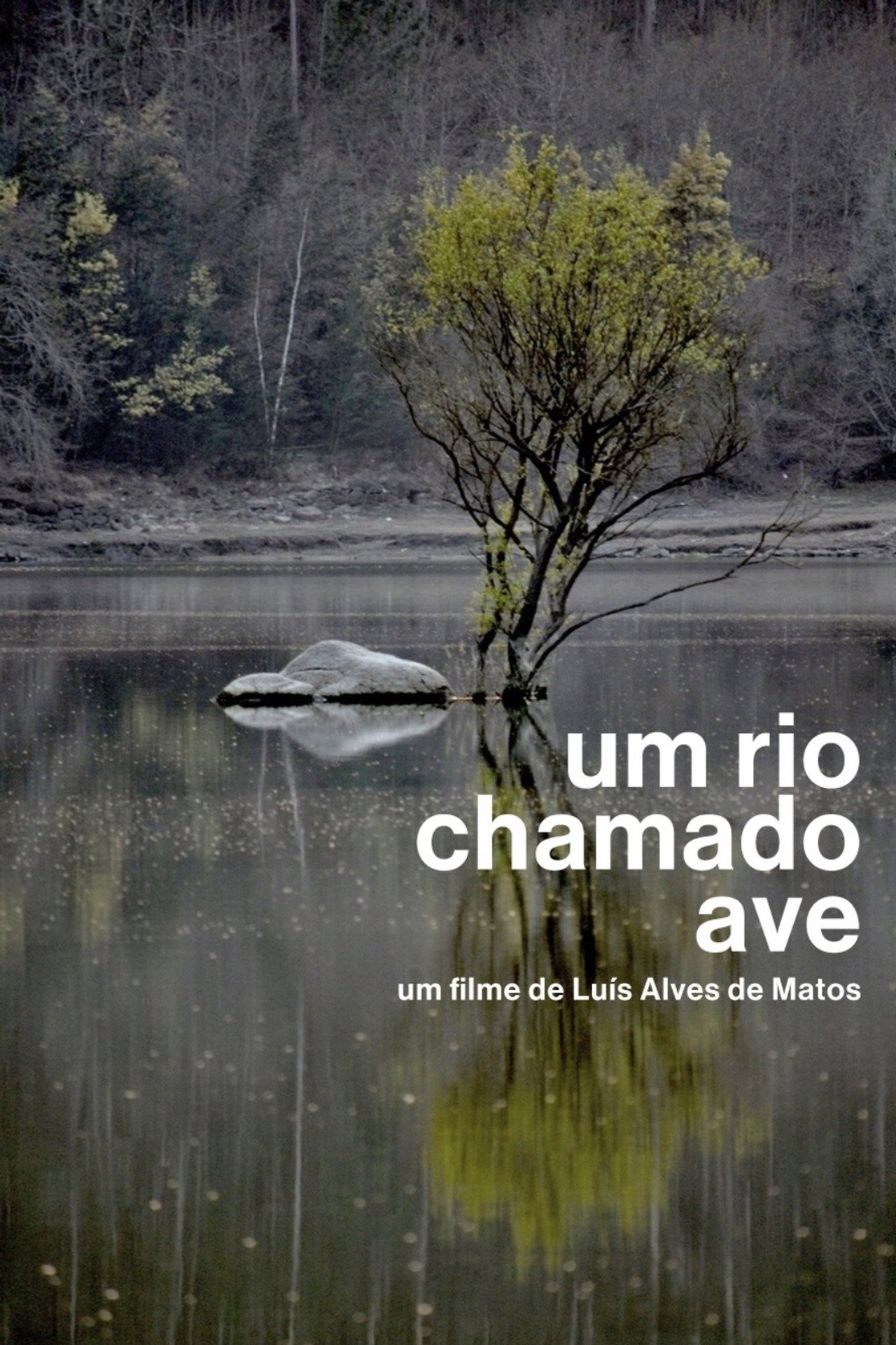Um Rio Chamado Ave filmaffisch