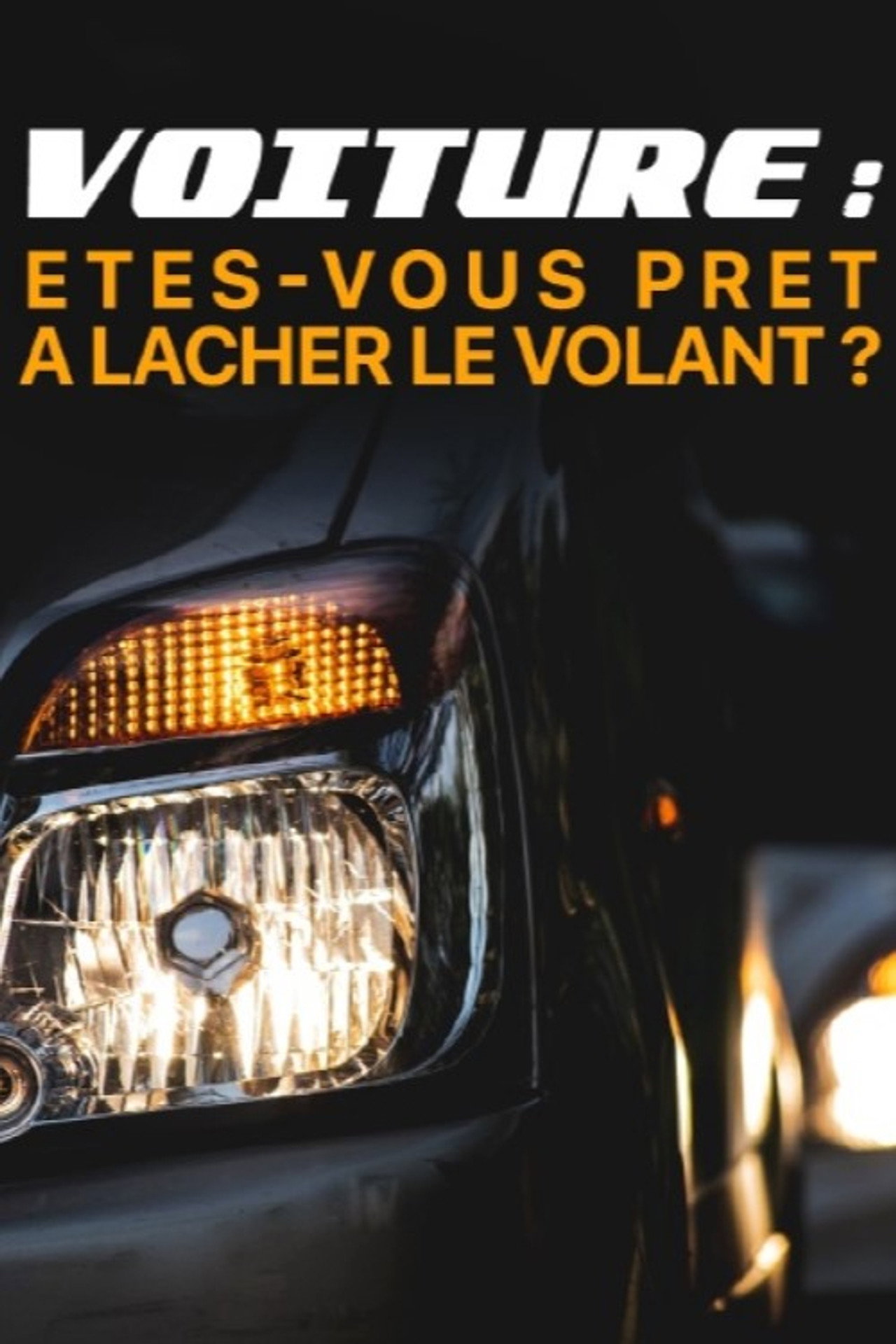 Voiture : êtes-vous prêts à lâcher le volant ? filmaffisch