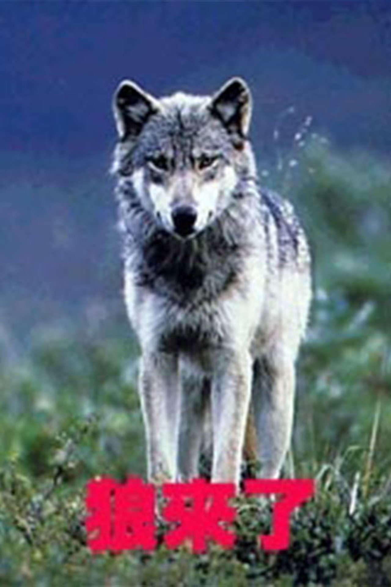 Recommendations image