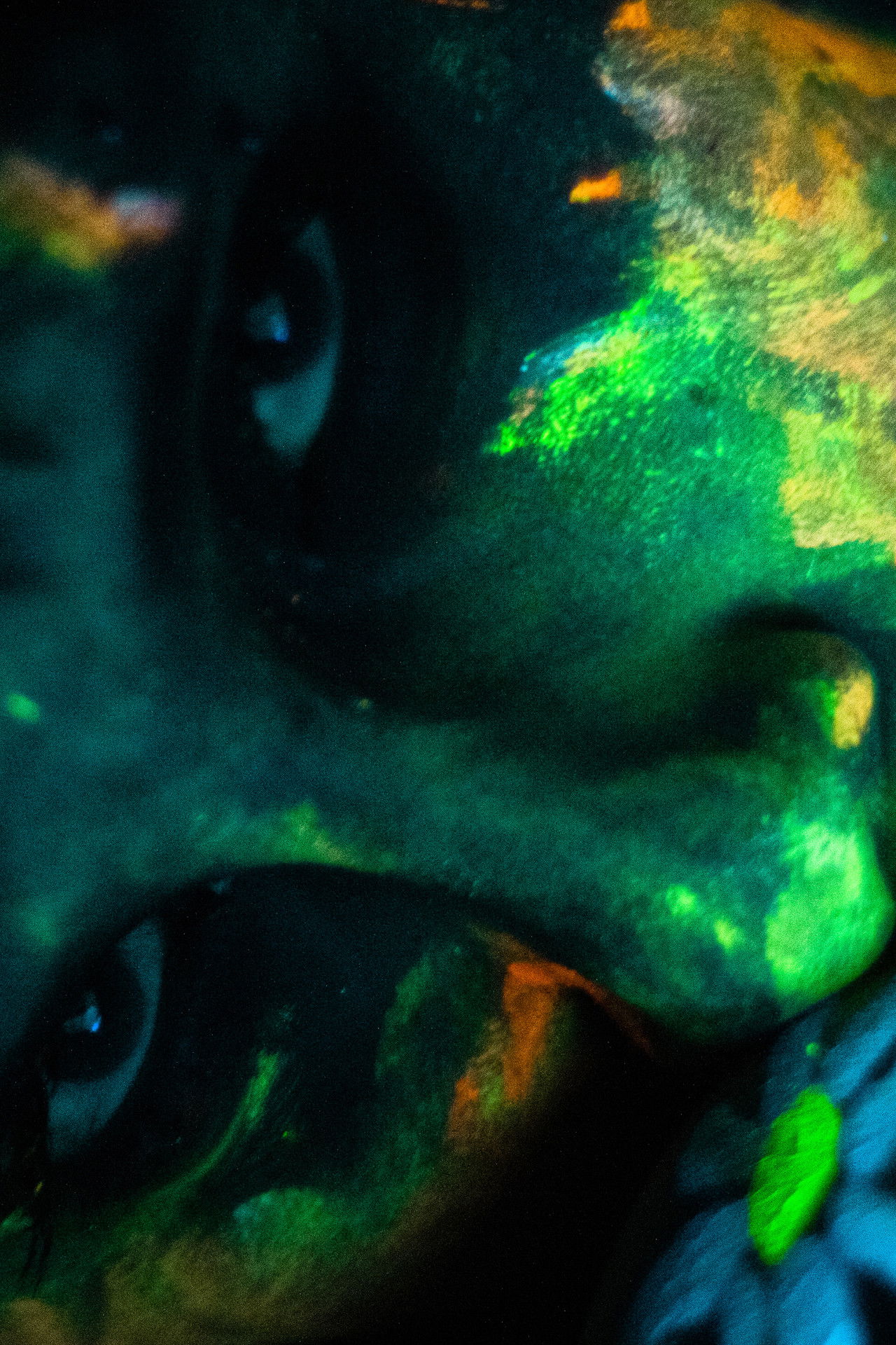 A cor do veneno Backdrop