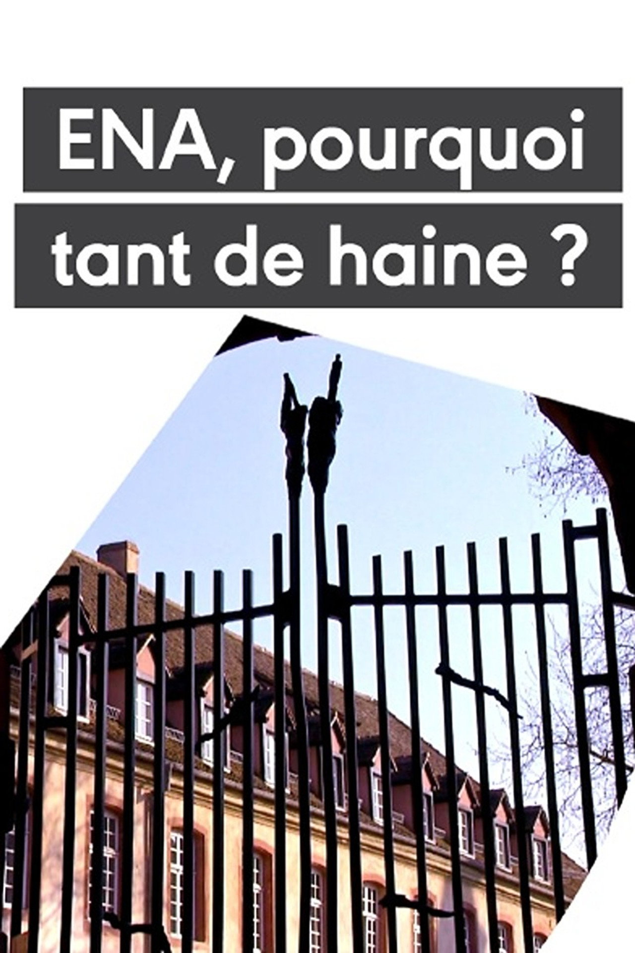 L'ENA - Pourquoi tant de haine ? filmaffisch