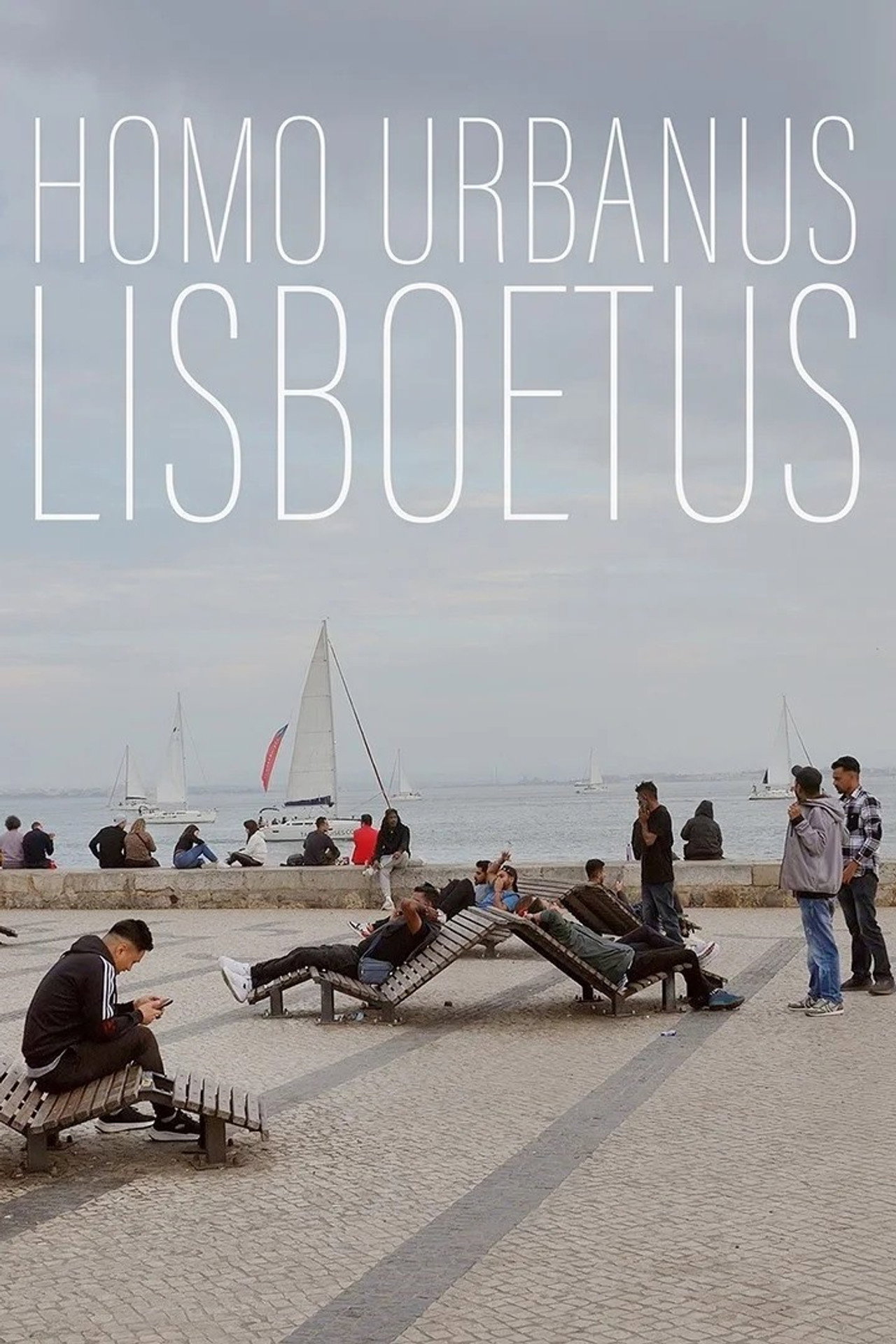 Homo Urbanus Lisboetus filmaffisch