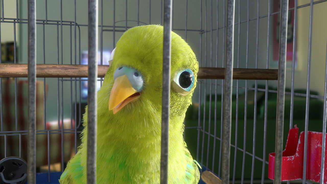 Bird's Eye View — Épisode 2