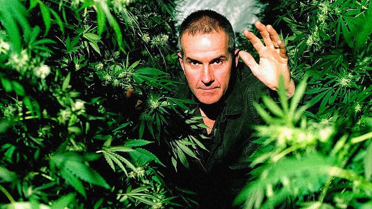 Scen från Cannabis: The Evil Weed?