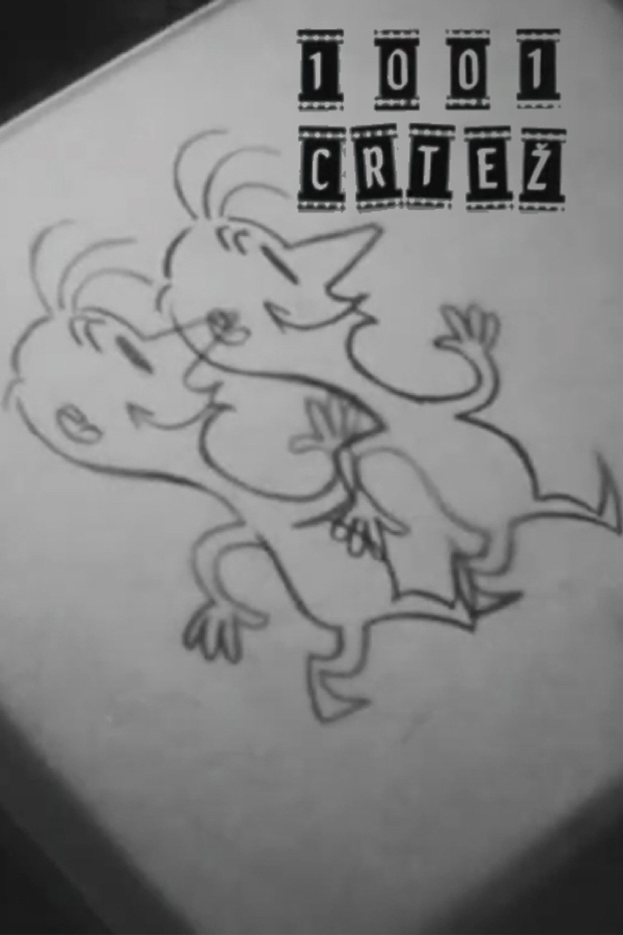 1001 Drawings Backdrop