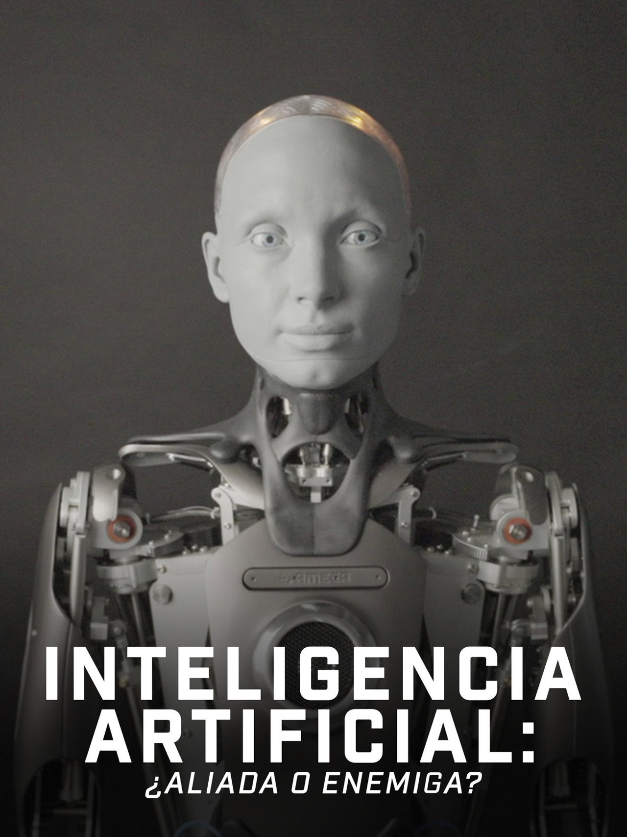 AI & You