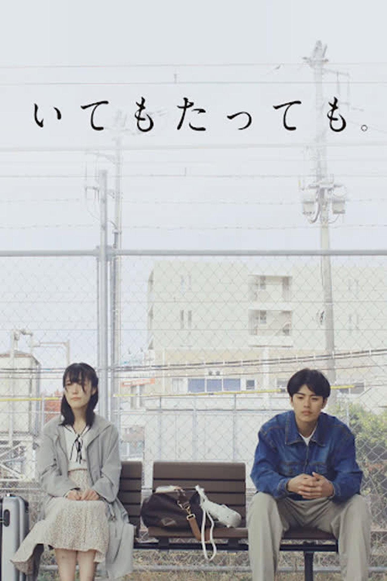 いてもたっても。 filmaffisch