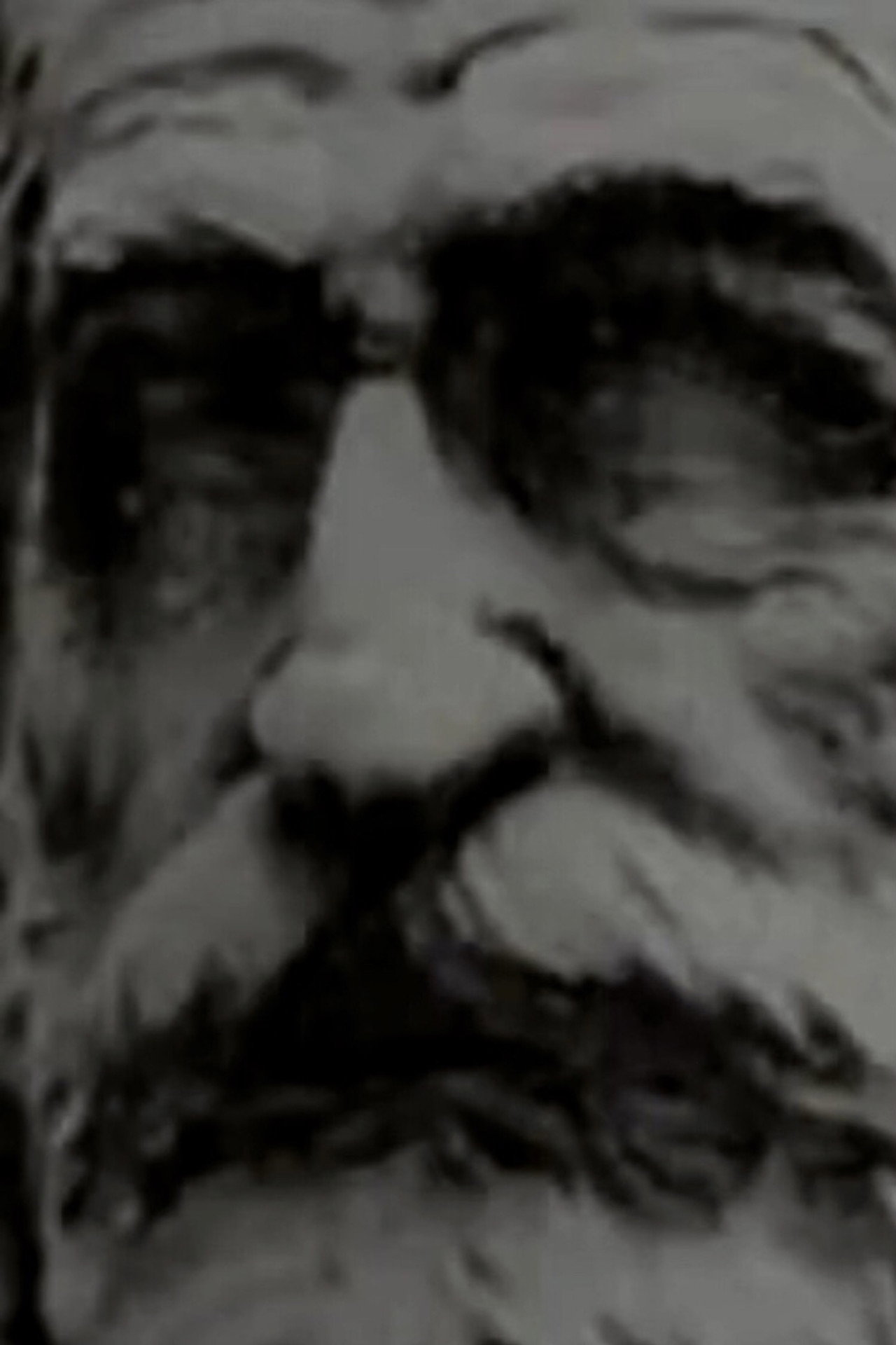 Di Verdi Si Muore