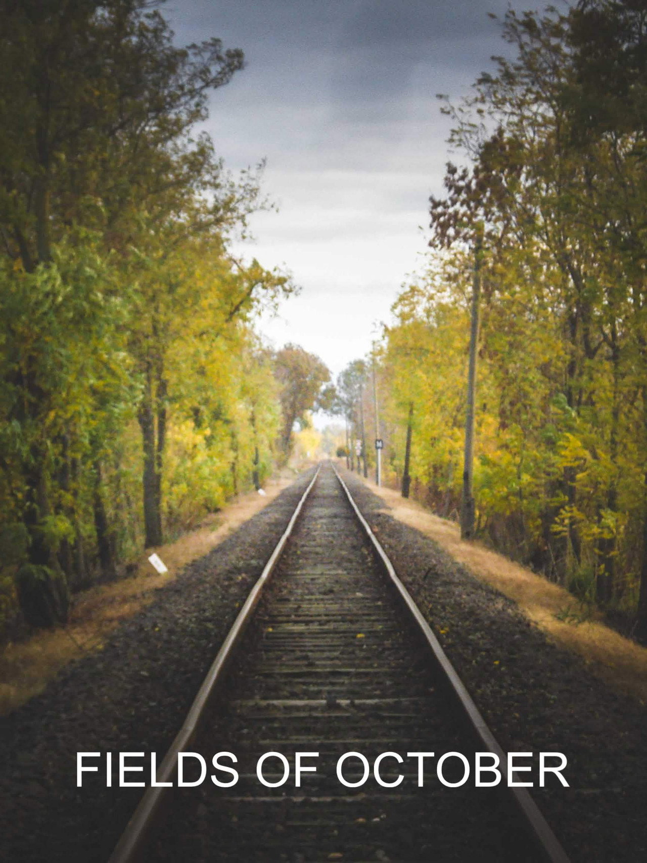 Fields of October – plakát 2