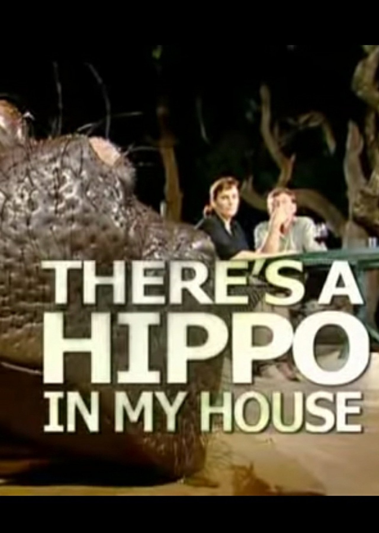 There's a Hippo in my House There's a Hippo in my House