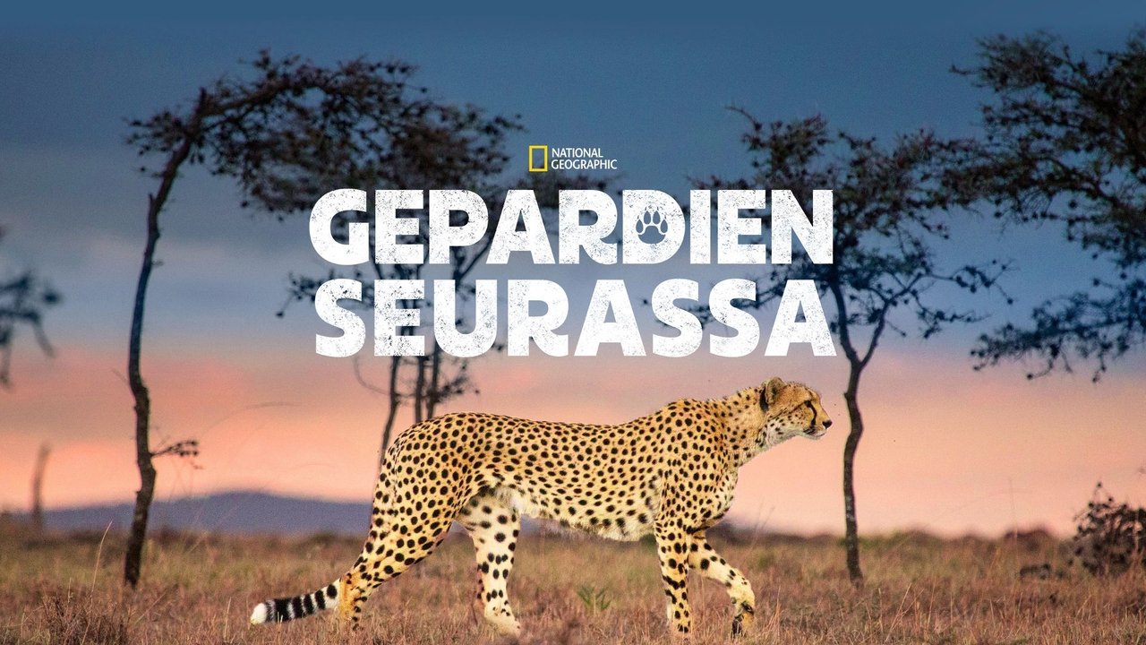 title image