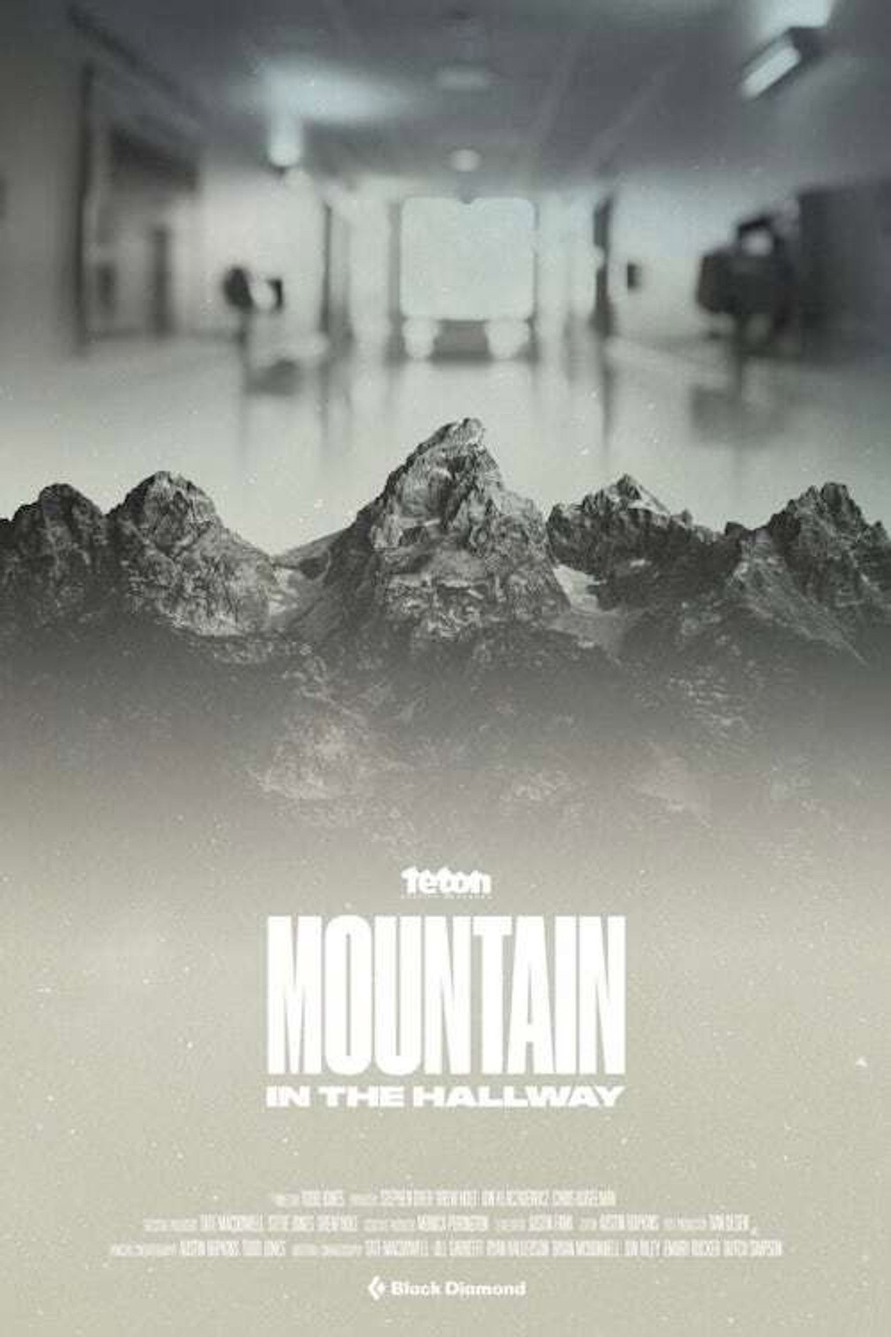Mountain in the Hallway filmaffisch
