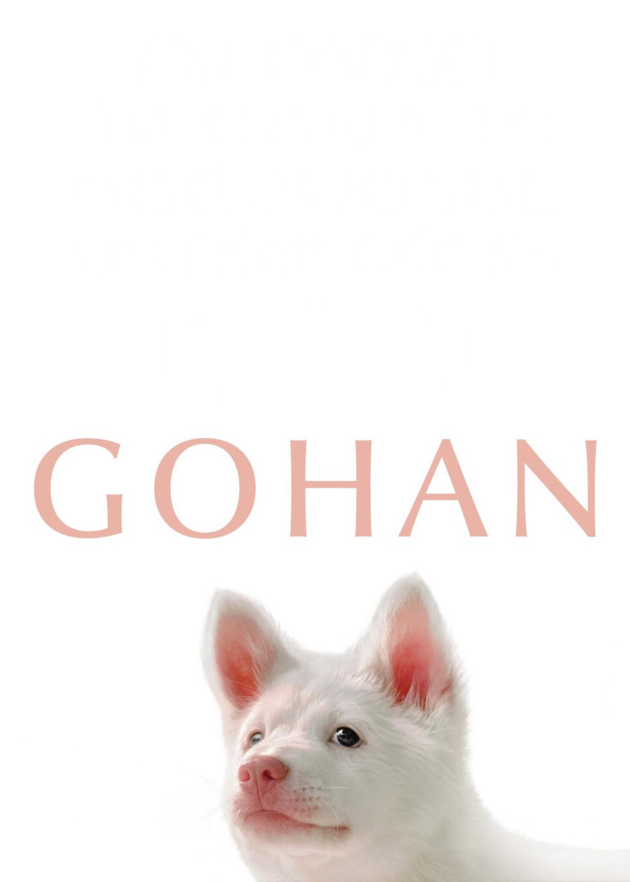 Gohan