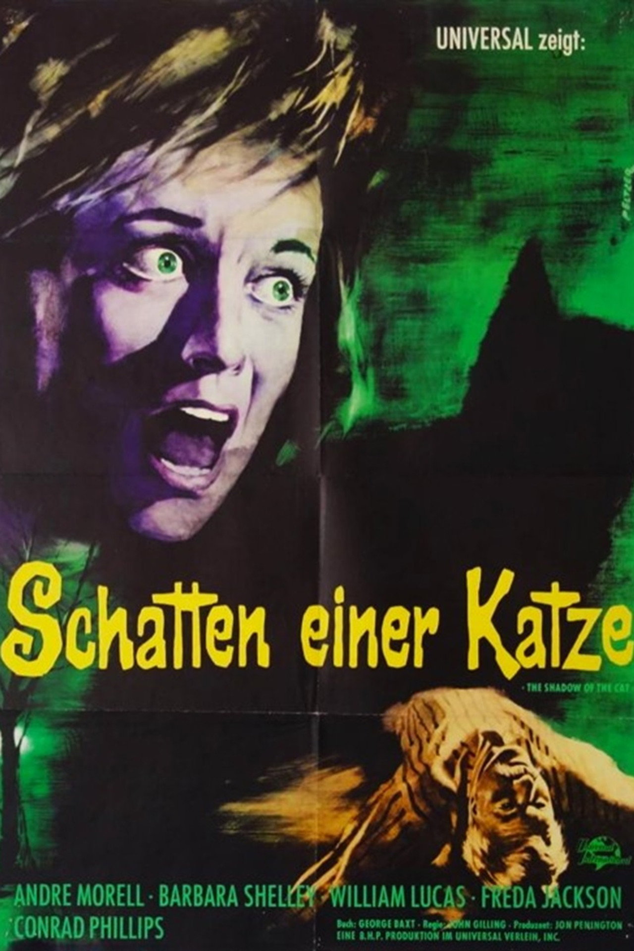 Schatten einer Katze