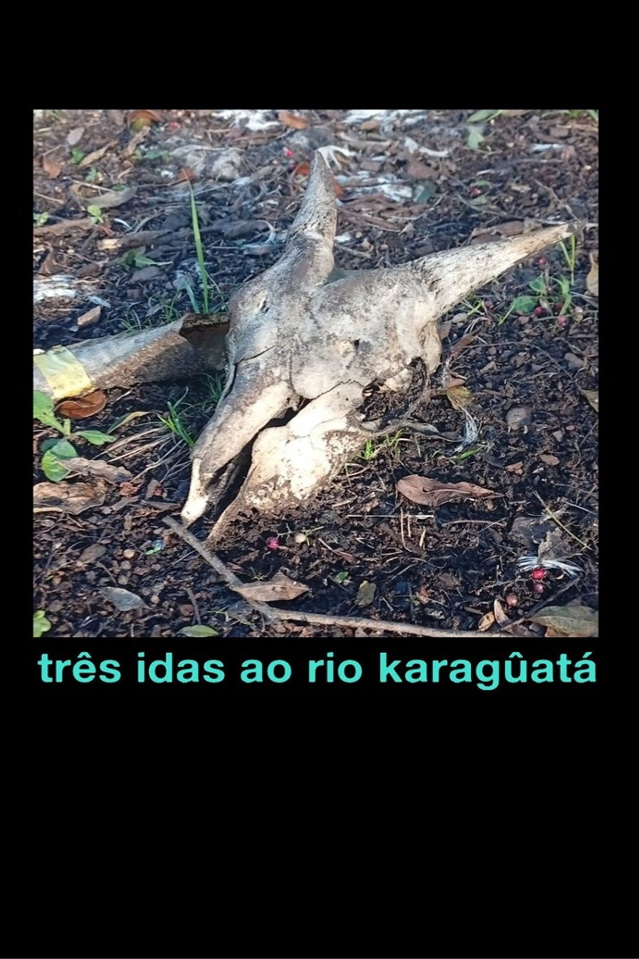Três idas ao Rio Karagûatá