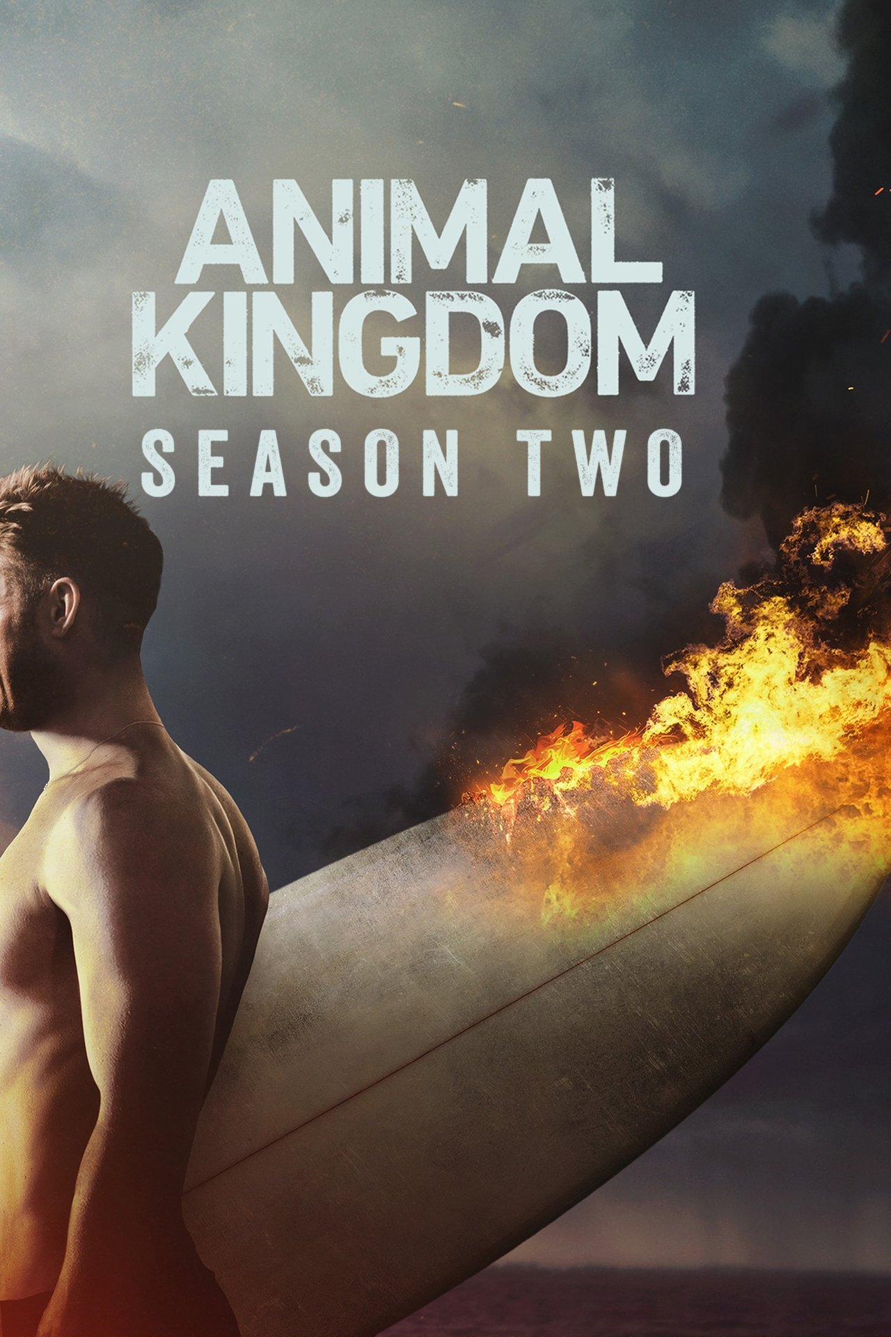 Animal Kingdom (2017)