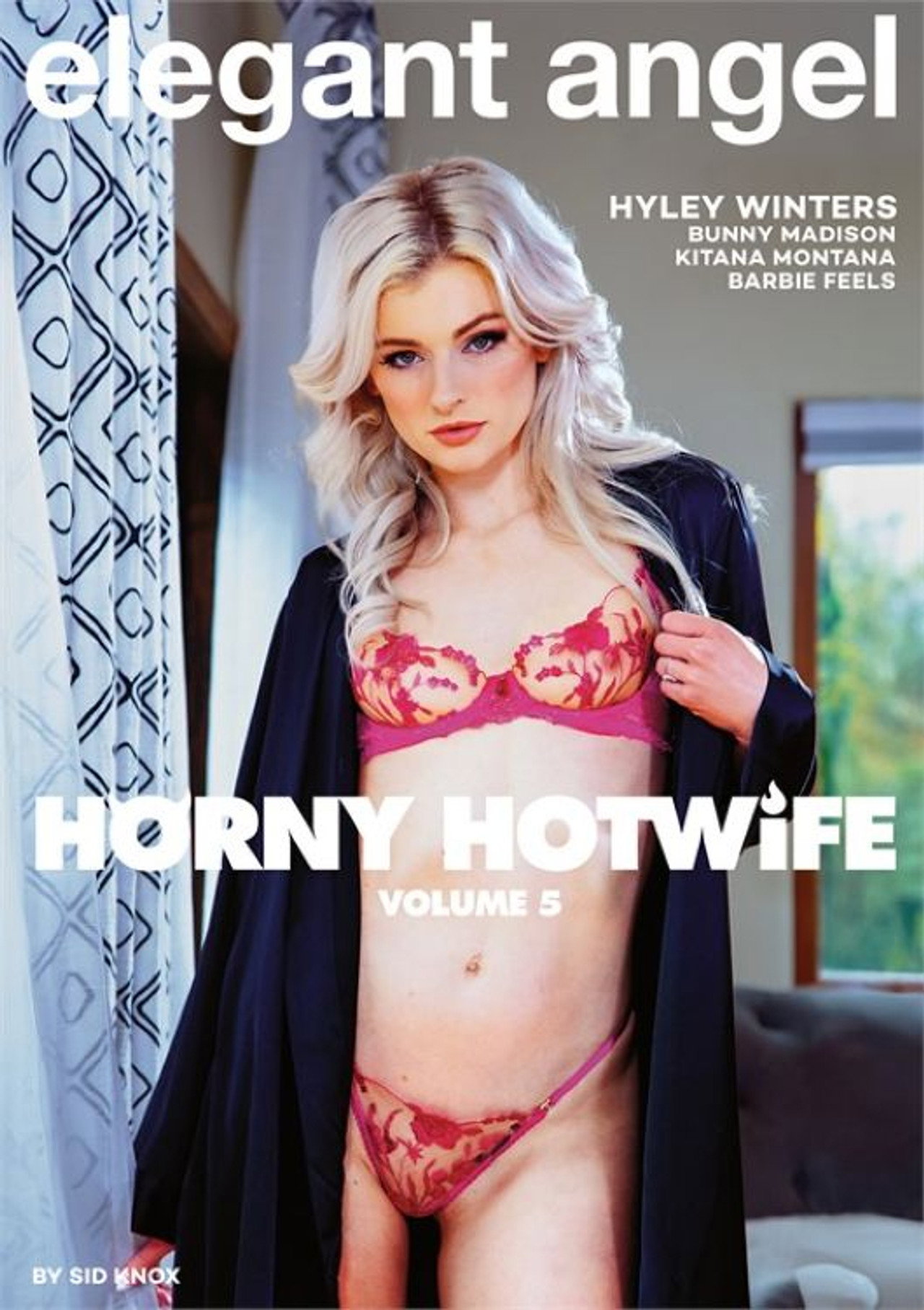 Horny Hotwife 5 filmaffisch