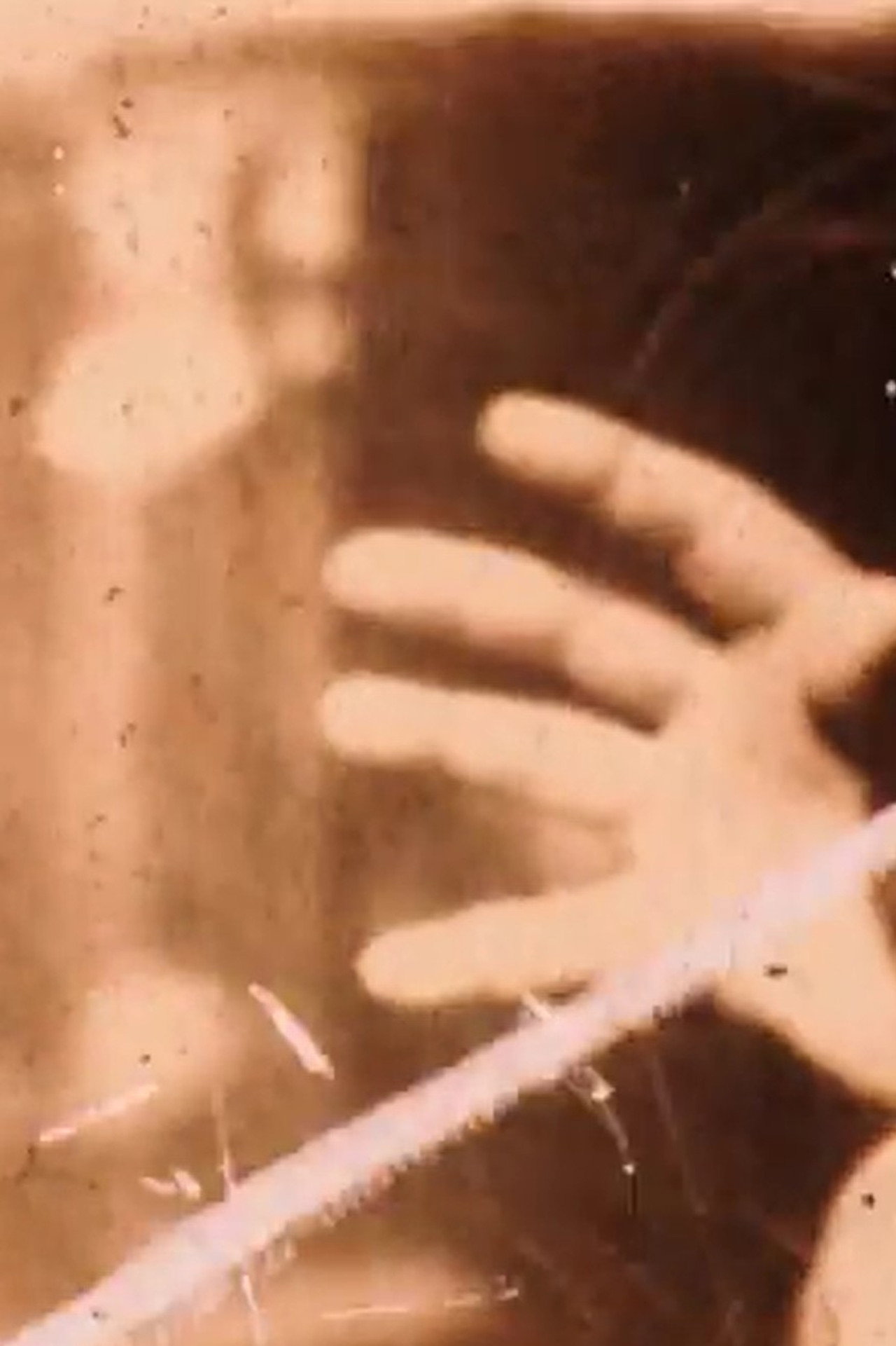 Confessions d’un voleur d’ordures filmaffisch
