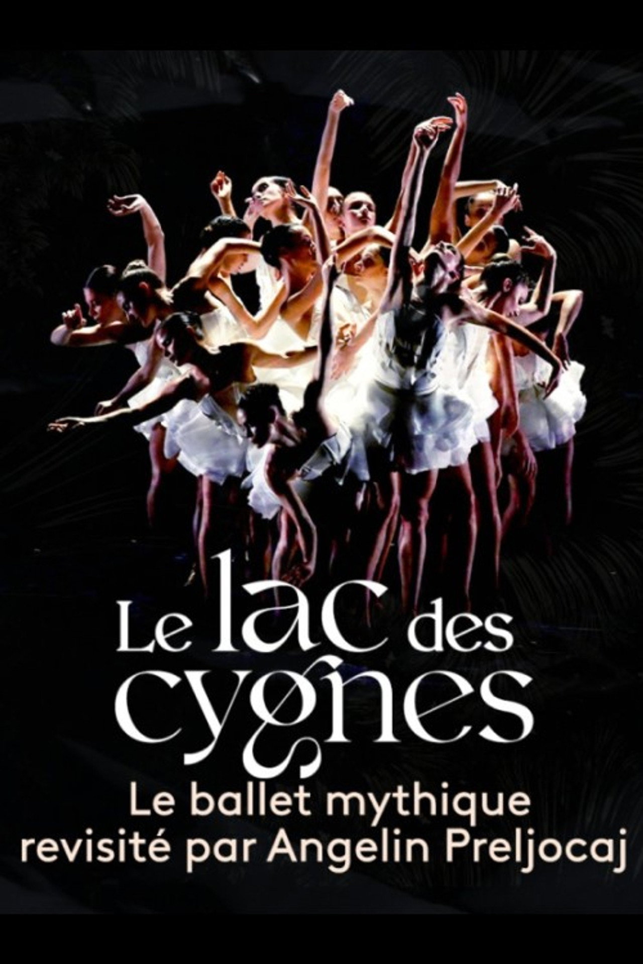 Le lac des cygnes au théâtre national de Chaillot filmaffisch