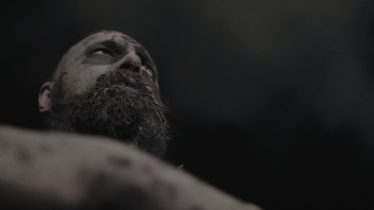 Shadows of Light (2020)