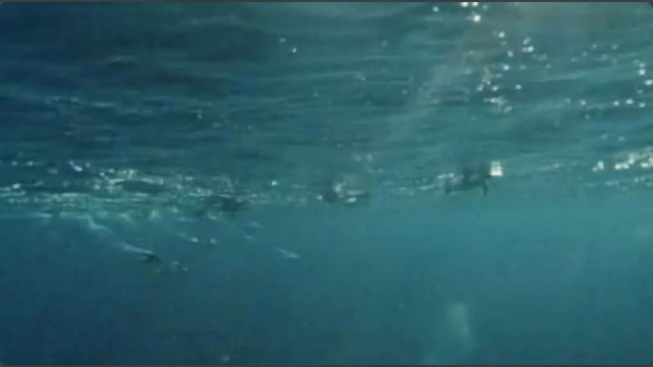 Massive Nature — Les chutes