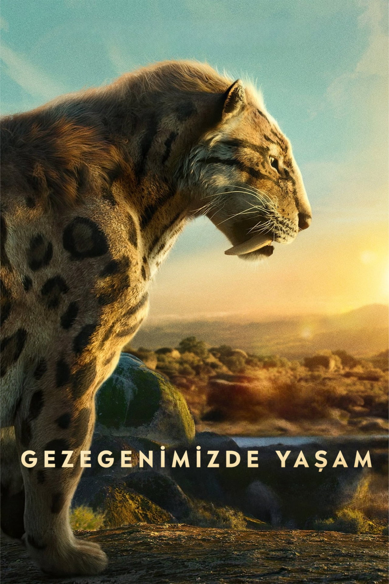 Gezegenimizde Yaşam Poster