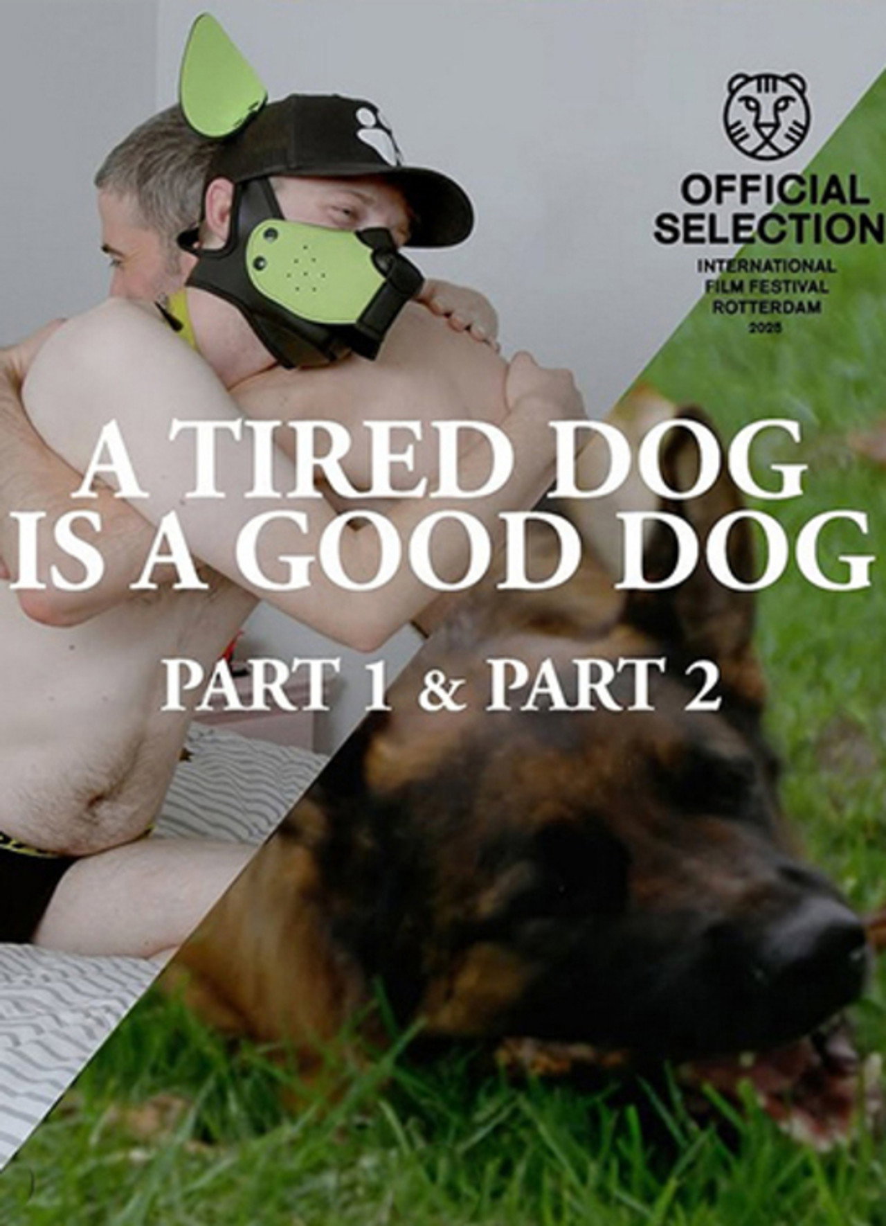 A Tired Dog is a Good Dog Parts 1 & 2
