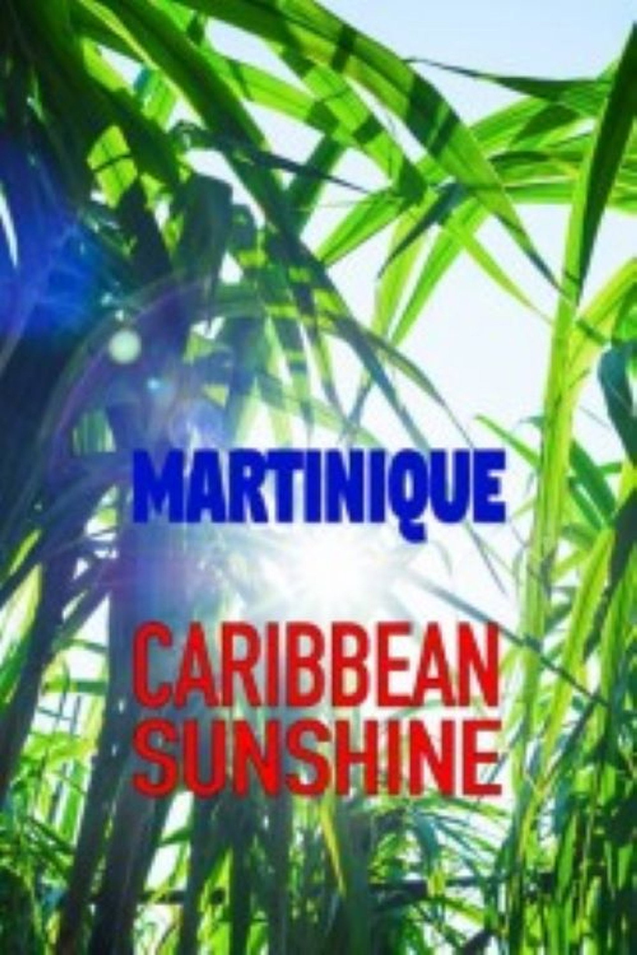 Martinique: Caribbean Sunshine Backdrop